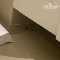 фото из отзыва ID 2712408