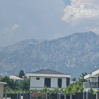 фото из отзыва ID 2712405