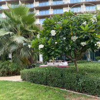 фото из отзыва ID 2712421