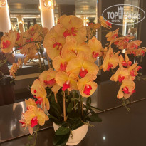 фото из отзыва ID 2712421