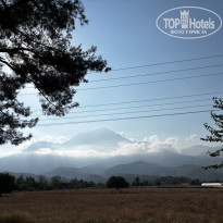 фото из отзыва ID 2712424