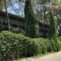 фото из отзыва ID 2712424