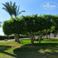 фото из отзыва ID 2712370