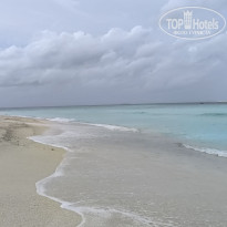 фото из отзыва ID 2712325