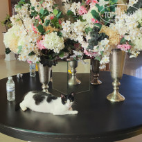 фото из отзыва ID 2712463