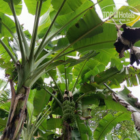 фото из отзыва ID 2712171