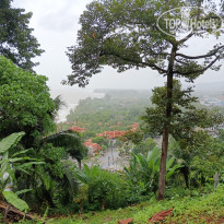 фото из отзыва ID 2712171