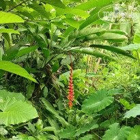 фото из отзыва ID 2712171