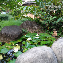 фото из отзыва ID 2712171