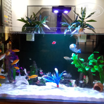 фото из отзыва ID 2712430