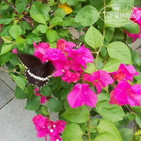 фото из отзыва ID 2712430