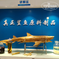 фото из отзыва ID 2712430