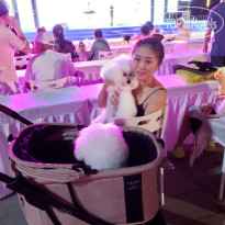 фото из отзыва ID 2712430