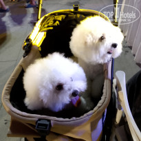 фото из отзыва ID 2712430