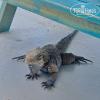 фото из отзыва ID 2712469