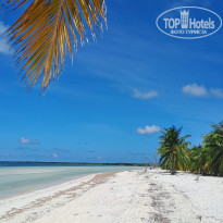 фото из отзыва ID 2712469