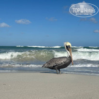 фото из отзыва ID 2712469