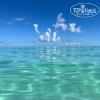 фото из отзыва ID 2712469