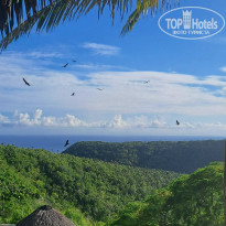 фото из отзыва ID 2712469