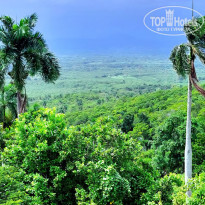 фото из отзыва ID 2712469