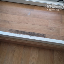 фото из отзыва ID 2712525