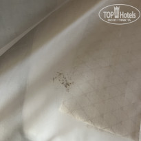 фото из отзыва ID 2712549