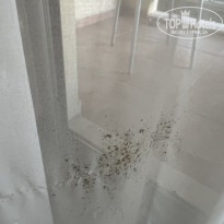 фото из отзыва ID 2712549