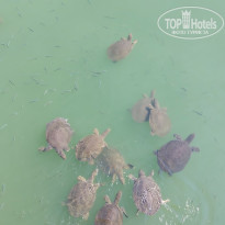 фото из отзыва ID 2712557