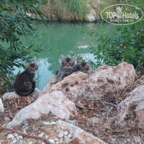 фото из отзыва ID 2712557