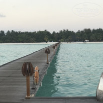 фото из отзыва ID 2712603