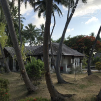 фото из отзыва ID 2712603