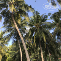 фото из отзыва ID 2712603