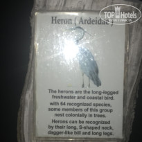 фото из отзыва ID 2712603