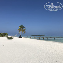 фото из отзыва ID 2712603