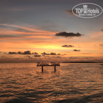 фото из отзыва ID 2712603