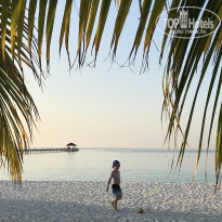 фото из отзыва ID 2712603