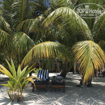 фото из отзыва ID 2712603