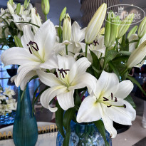 фото из отзыва ID 2712606
