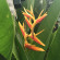 фото из отзыва ID 2712615