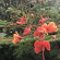 фото из отзыва ID 2712615