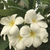 фото из отзыва ID 2712615