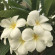 фото из отзыва ID 2712615