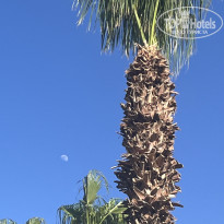 фото из отзыва ID 2712620