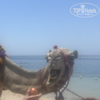 фото из отзыва ID 2712620