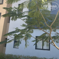 фото из отзыва ID 2712620