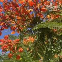 фото из отзыва ID 2712620