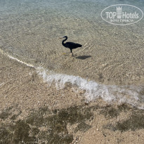 фото из отзыва ID 2712620