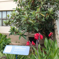 фото из отзыва ID 2712649