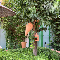 фото из отзыва ID 2712678