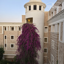 фото из отзыва ID 2712688